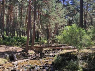 Pesquerías Reales-Valsaín,Río Eresma;la costa vasca rutas por cabo de gata visitas por madrid vol